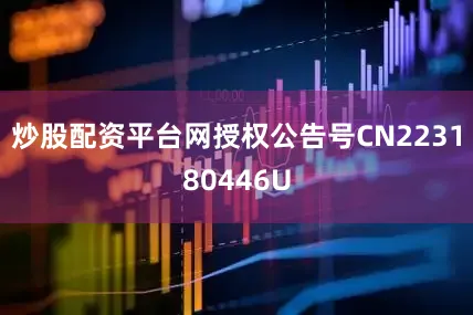 炒股配资平台网授权公告号CN223180446U