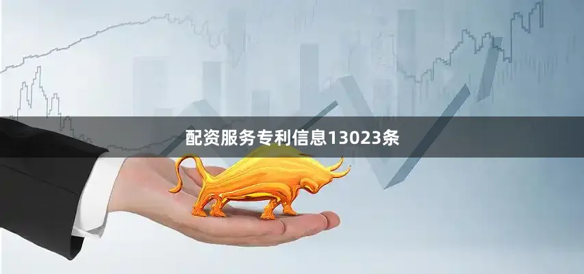 配资服务专利信息13023条